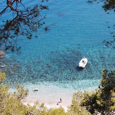 "L'Hippocampe", Climatise, 60 M2 , 2 Chambres, Tres Calme, Plage Des Sablettes Et Commerces A 3 Minutes A Pied, Wifi, Parking Gratuit, Lit King Size La Seyne-sur-Mer Dış mekan fotoğraf