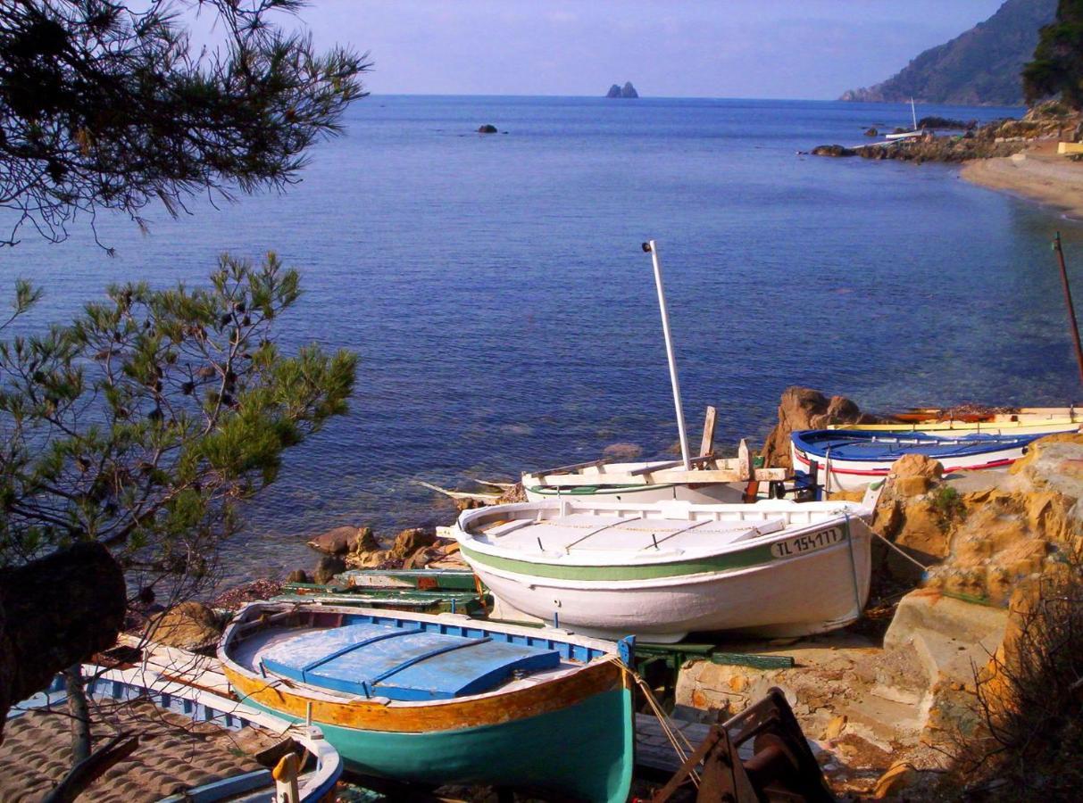 "L'Hippocampe", Climatise, 60 M2 , 2 Chambres, Tres Calme, Plage Des Sablettes Et Commerces A 3 Minutes A Pied, Wifi, Parking Gratuit, Lit King Size La Seyne-sur-Mer Dış mekan fotoğraf