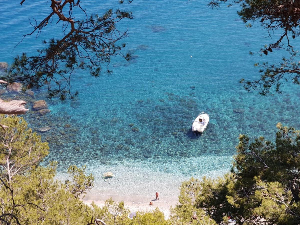 "L'Hippocampe", Climatise, 60 M2 , 2 Chambres, Tres Calme, Plage Des Sablettes Et Commerces A 3 Minutes A Pied, Wifi, Parking Gratuit, Lit King Size La Seyne-sur-Mer Dış mekan fotoğraf